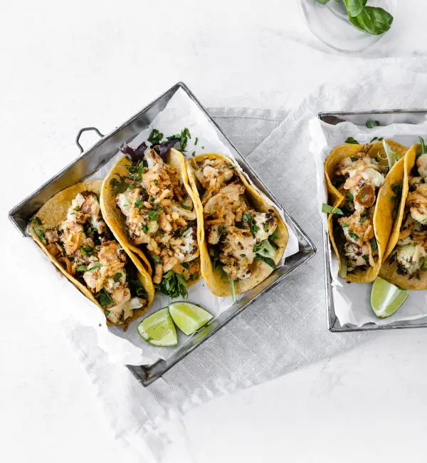 vegan taco